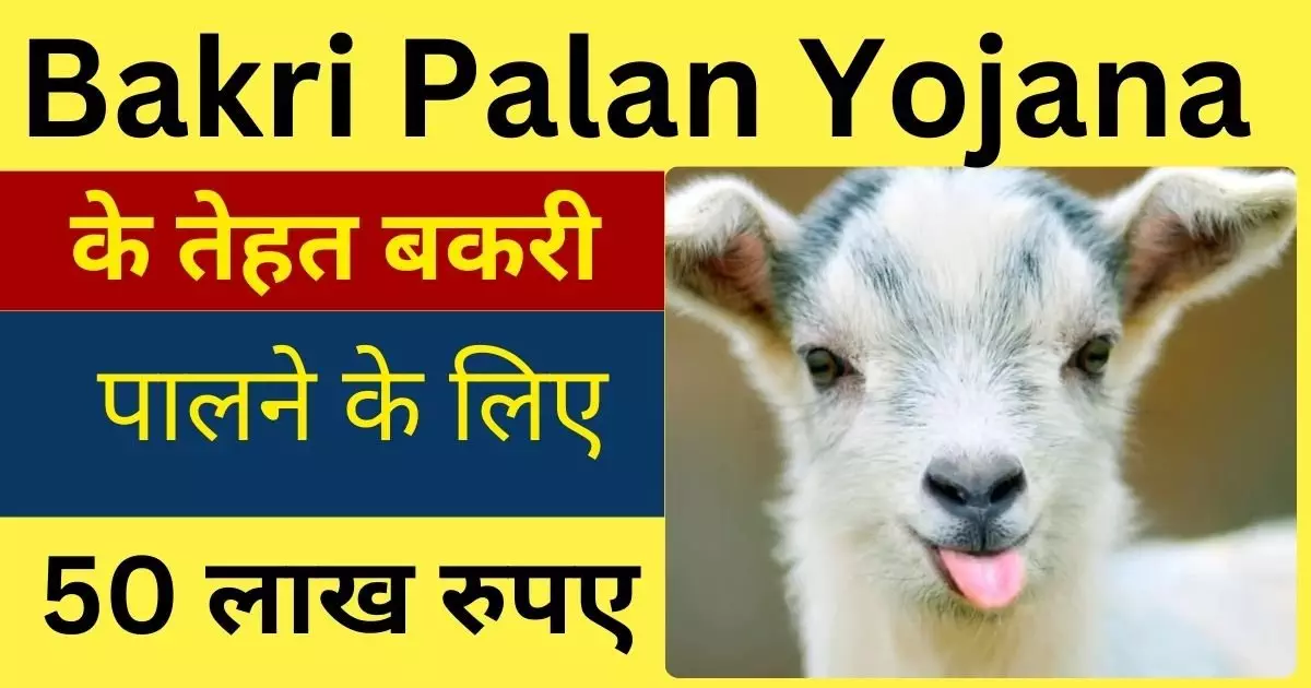 Bakri Palan Yojana